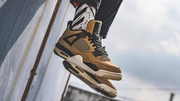 Nike Air Jordan 4 Mushroom Sko Til Damer Brun