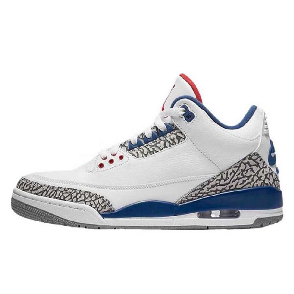 Nike Air Jordan 3 Og True Sko Til Mænd Blå