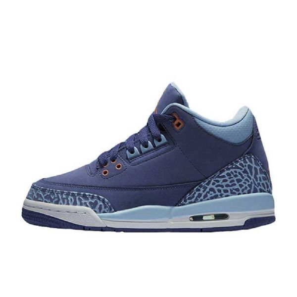 Nike Air Jordan 3 Retro Gg Dust Sko Til Mænd Lilla