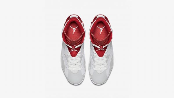 Nike Air Jordan 6 Alternative Sko Til Mænd Hvid