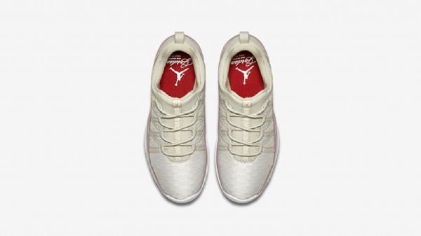 Nike Air Jordan Deca Fly Gg Plum Fog Heiress Sko Til Mænd Flerfarvet
