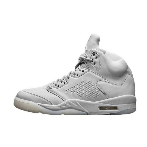 Nike Air Jordan 5 Premium Pure Platinum Sko Til Mænd Hvid