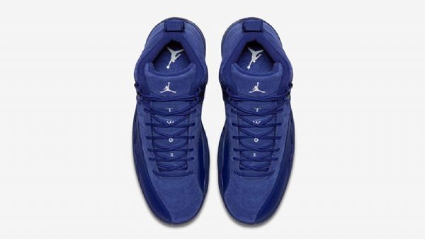 Nike Air Jordan 12 Deep Premium Sko Til Mænd Blå