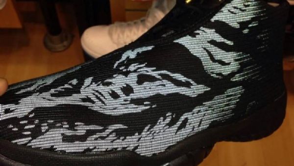 Nike Air Jordan Future Tiger Sko Til Mænd Brun